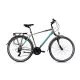 Capriolo Roadster Man 1.0 férfi trekking kerékpár 20" szürke