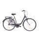 Capriolo Diana női agyváltós városi kerékpár 20" Grafit