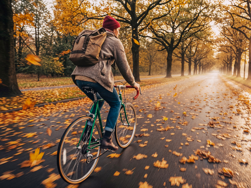 Őszi kerékpártúrák: varázslatos útvonalak Magyarországon és Szeged környékén